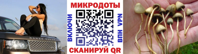 Купить  Сосновоборск  Галлюциногенные грибы мухоморы 