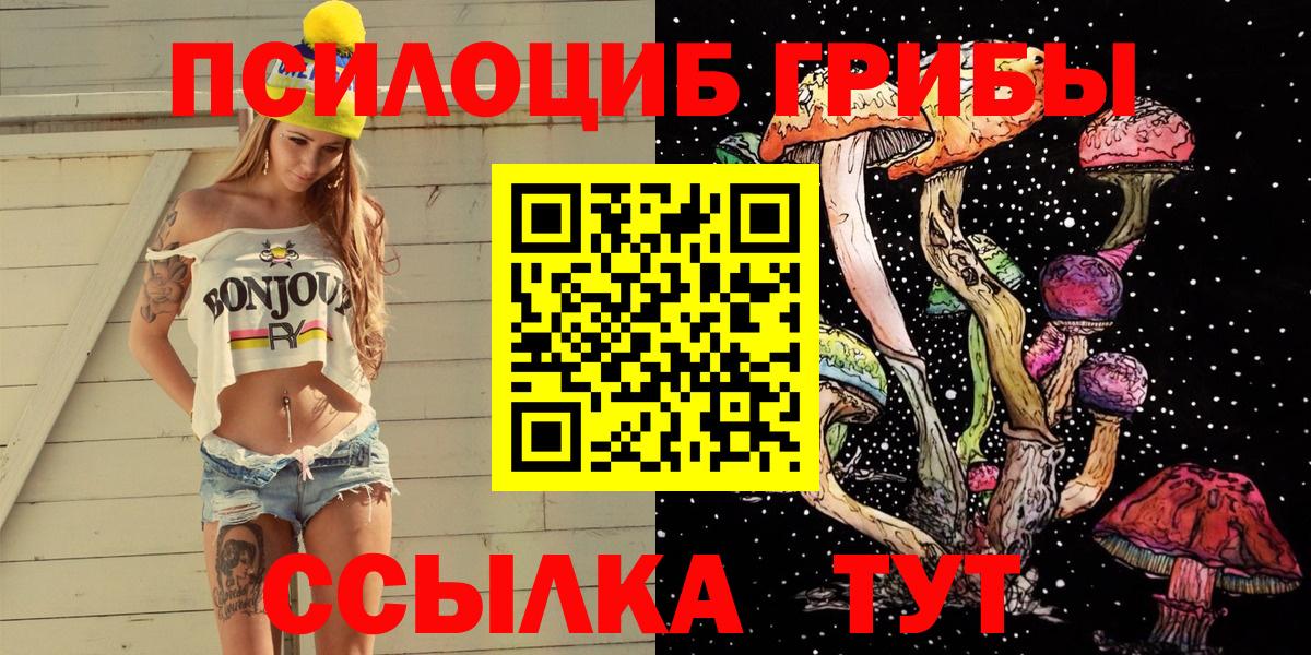 Сосновоборск  купить закладку  Галлюциногенные грибы Psilocybine cubensis  Вход с VPN  Галлюциногенные грибы Psilocybe 