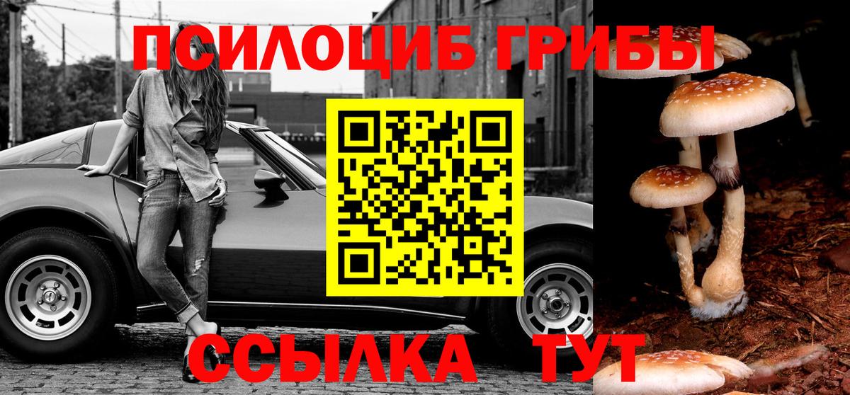 Галлюциногенные грибы MAGIC MUSHROOMS  Галлюциногенные грибы Psilocybine cubensis  Сосновоборск 