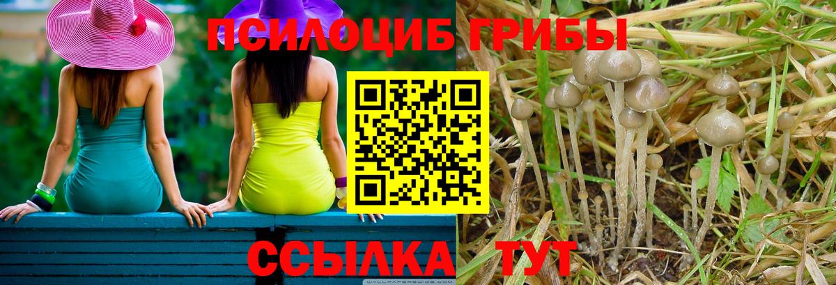 Псилоцибиновые грибы GOLDEN TEACHER Сосновоборск