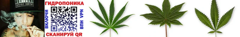 Купить где  Сосновоборск  Бошки Шишки Ganja 