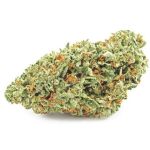 Шишки OG Kush  (Гидропоника, бошки) VHQ в Сосновоборске
